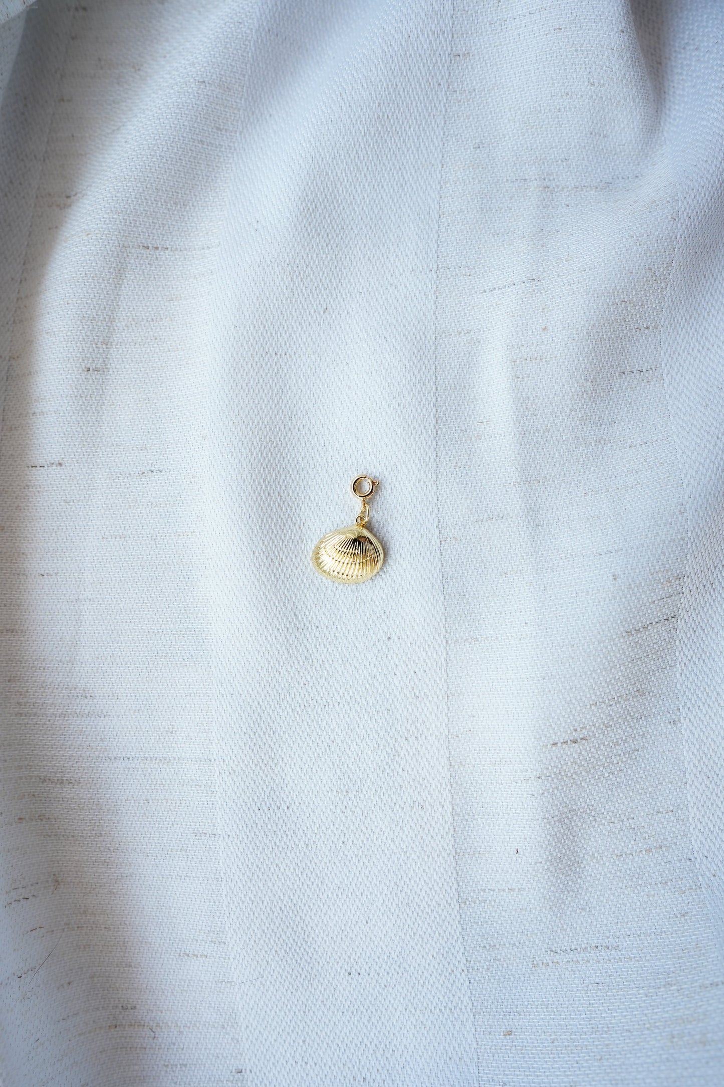 Charm Muschel 2
