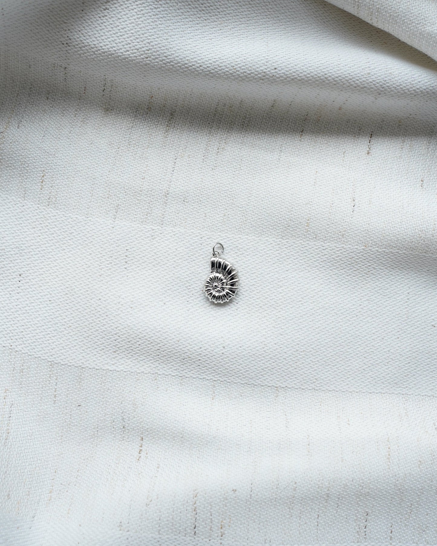 Charm Muschel groß