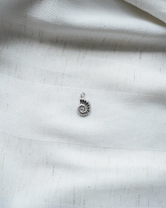 Charm Muschel groß