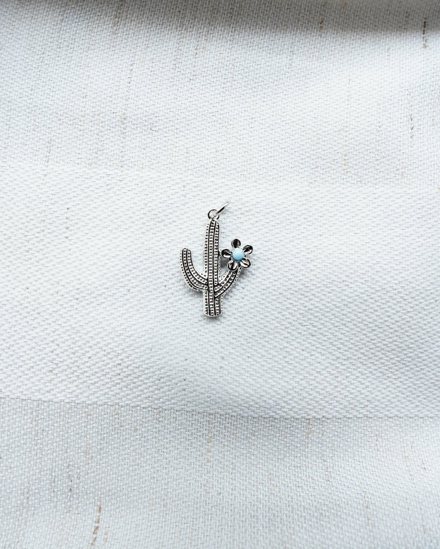 Charm Kaktus
