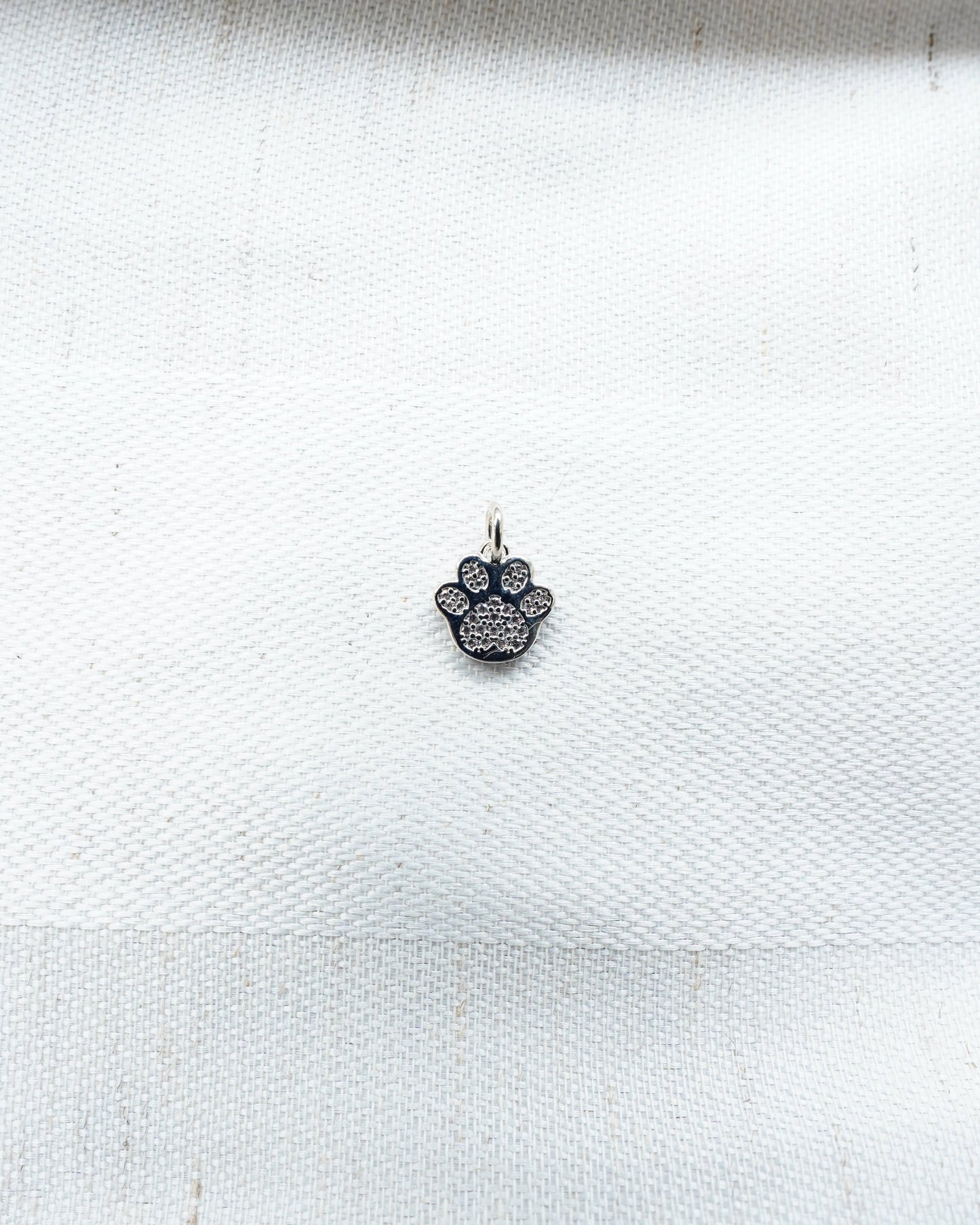 Charm Pfote