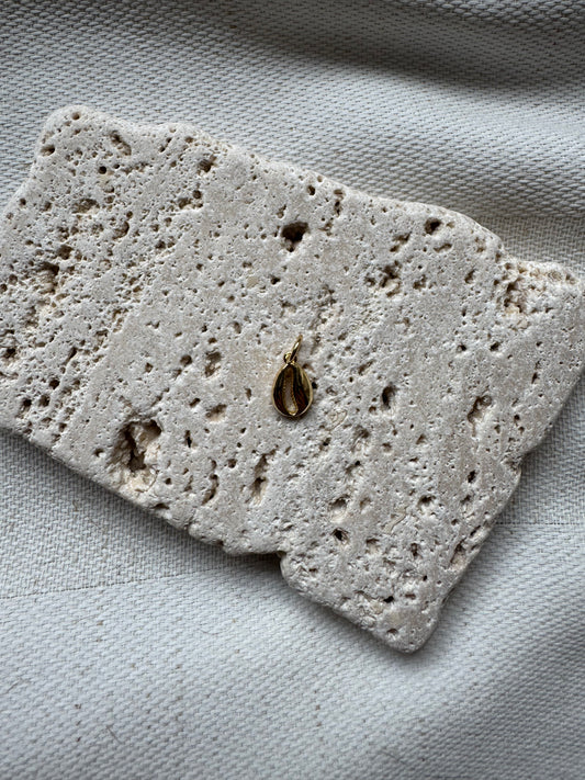 Charm Muschel mini