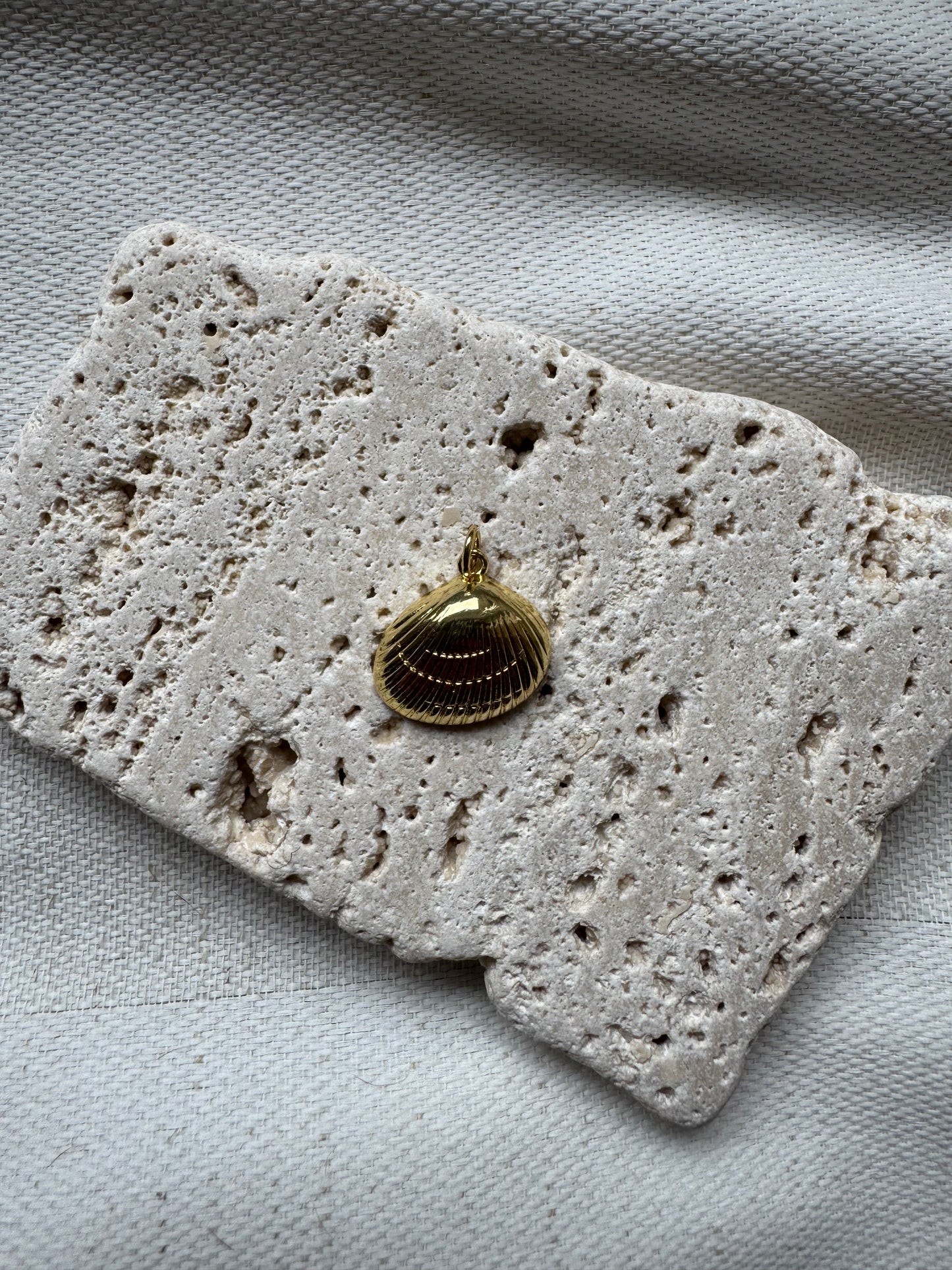 Charm Muschel 2
